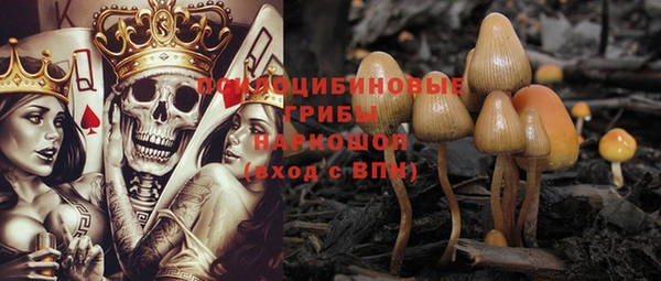 спиды Пролетарск