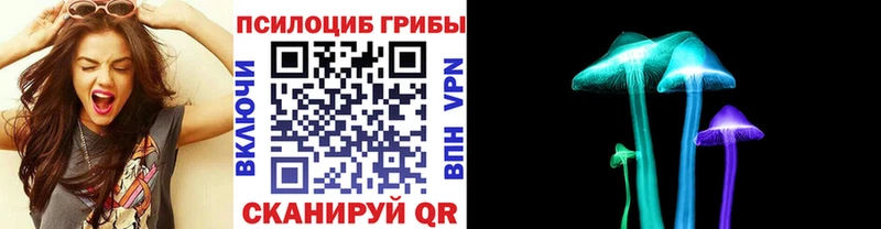 Псилоцибиновые грибы Cubensis  продажа наркотиков  Алатырь 