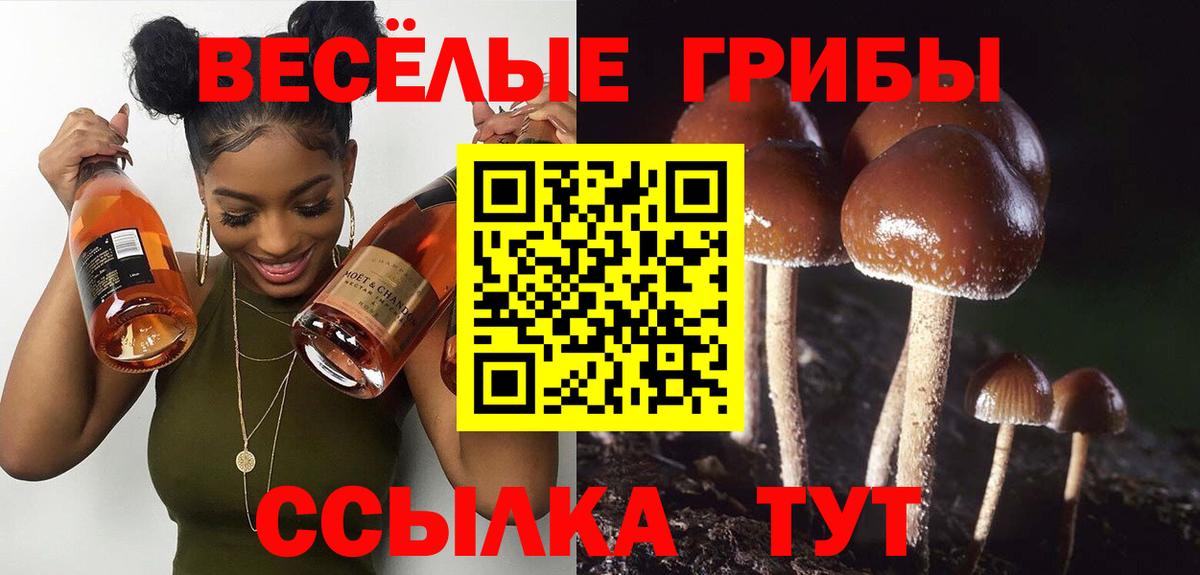 Алатырь  Псилоцибиновые грибы ЛСД  Вход с VPN 
