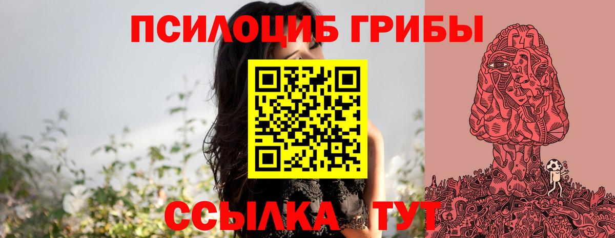 Галлюциногенные грибы Psilocybe Алатырь